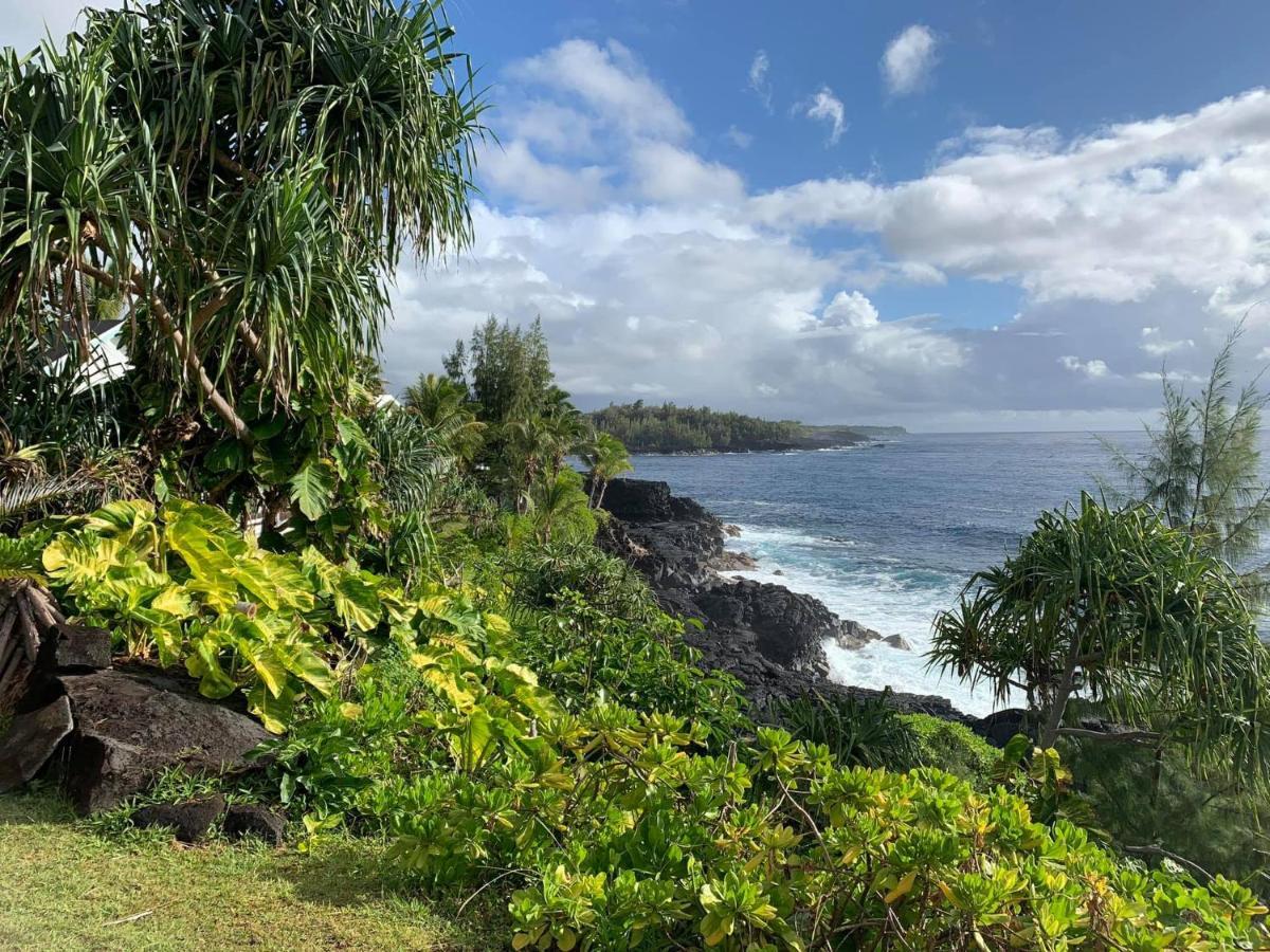 Puna Pod Pahoa المظهر الخارجي الصورة